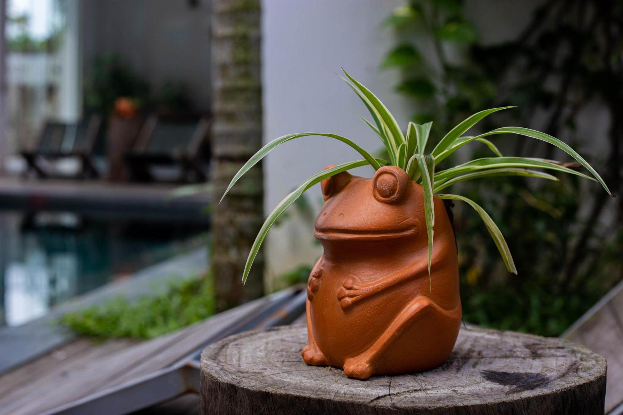 Hoi An Fairy Garden Villa Exterior photo
